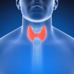 kidney cancer treatment in Delhi