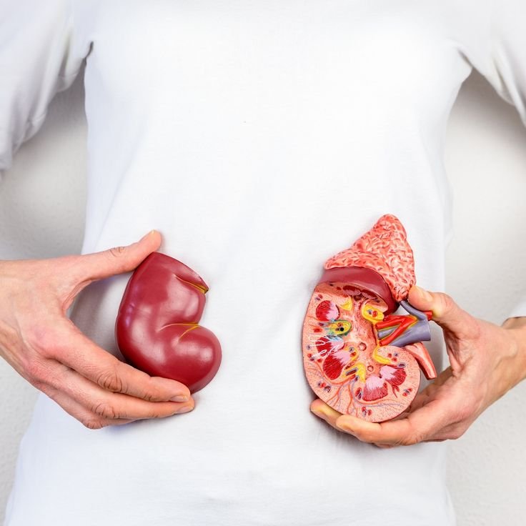kidney cancer treatment in Delhi